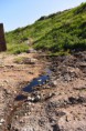 /album/prieskum-pravdepodobnej-environmentalnej-zataze-dezerice-skladka-veronika/priesaky-zo-starej-skladky-jpg/